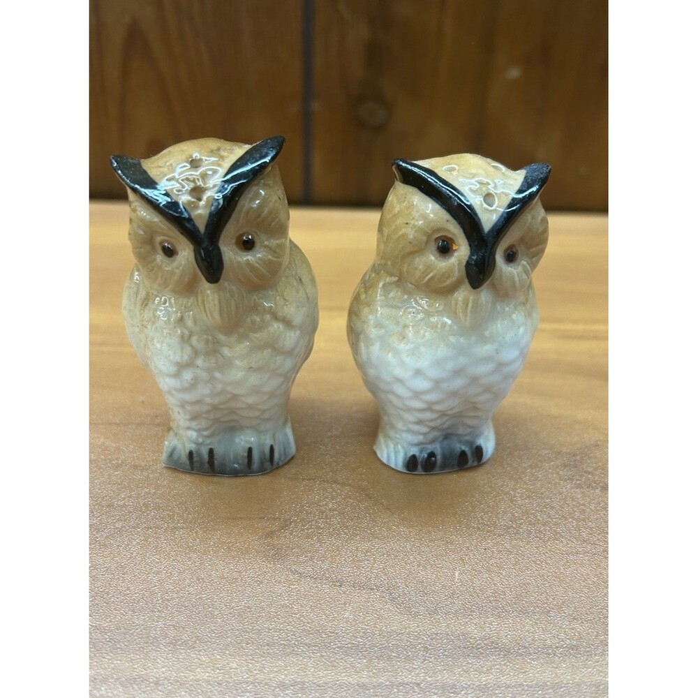 Pair of Ceramic Owl Salt and Pepper Shakers with Stopper